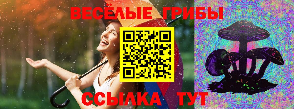 Грязи  купить закладку  Вход с VPN  Галлюциногенные грибы Psilocybine cubensis 