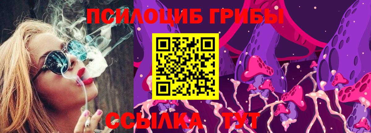 Псилоцибиновые грибы GOLDEN TEACHER Грязи